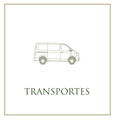 Transportes
